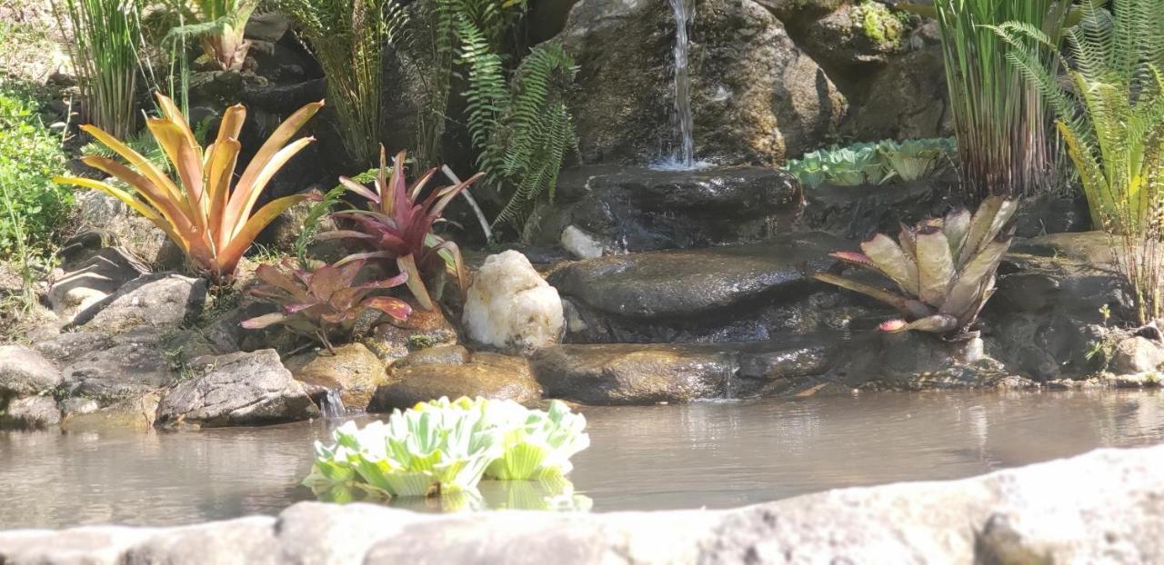 Recanto Luamar Pousada Sana Exterior foto